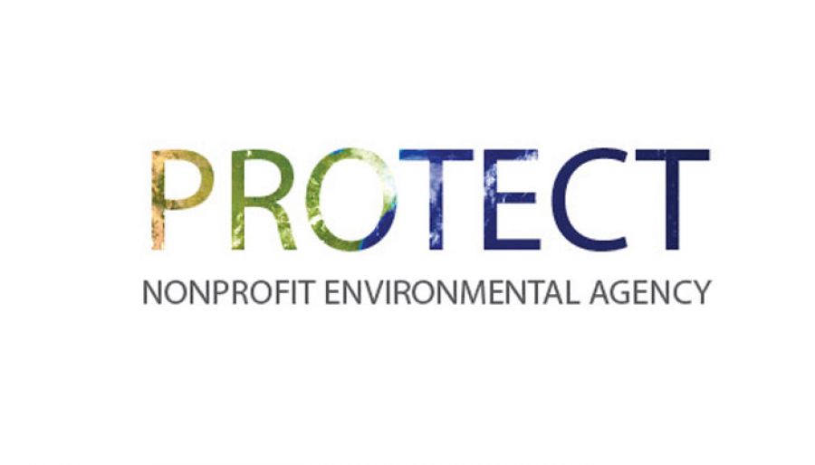 Go Green Environmental Agency Custom Logo Design Layout