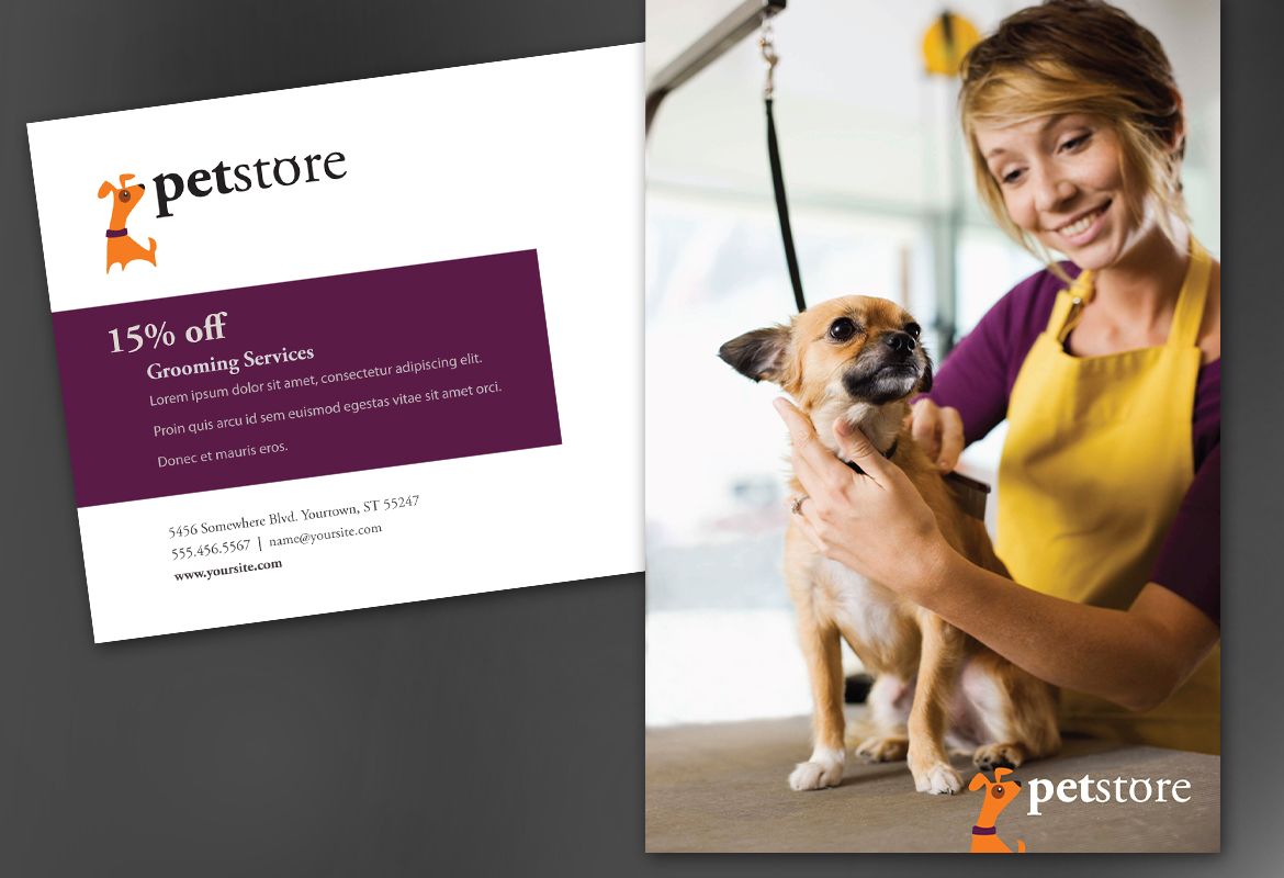 Pet Store Design Postcard Design Layout